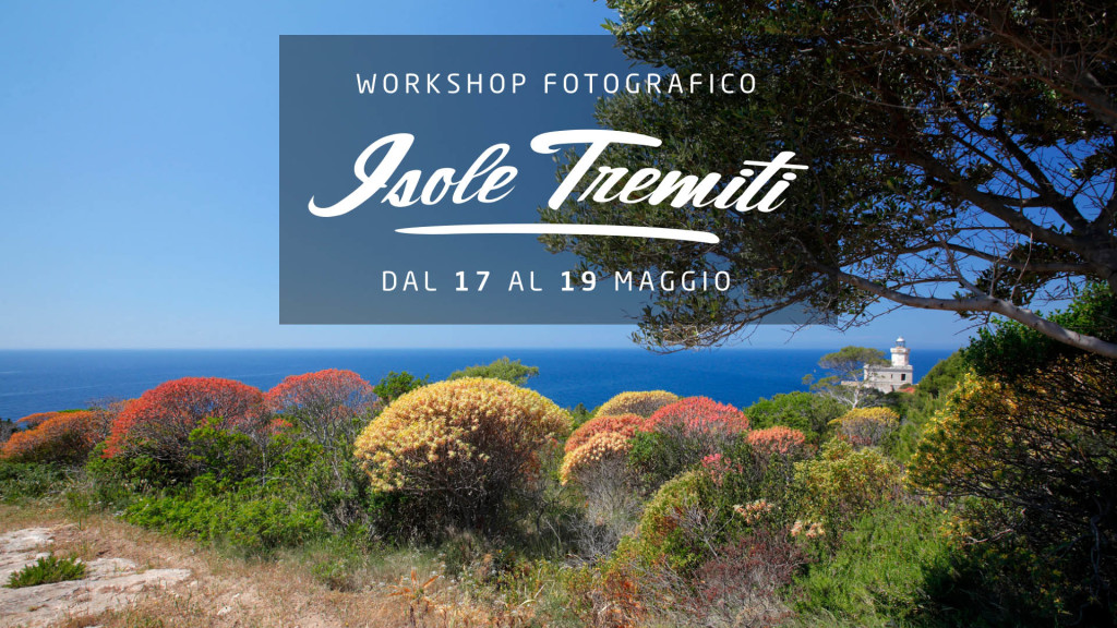 Workshop Tremiti 2019