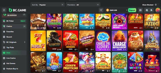 An In-Depth Look at BC.Game Online Casino The Future of Gaming